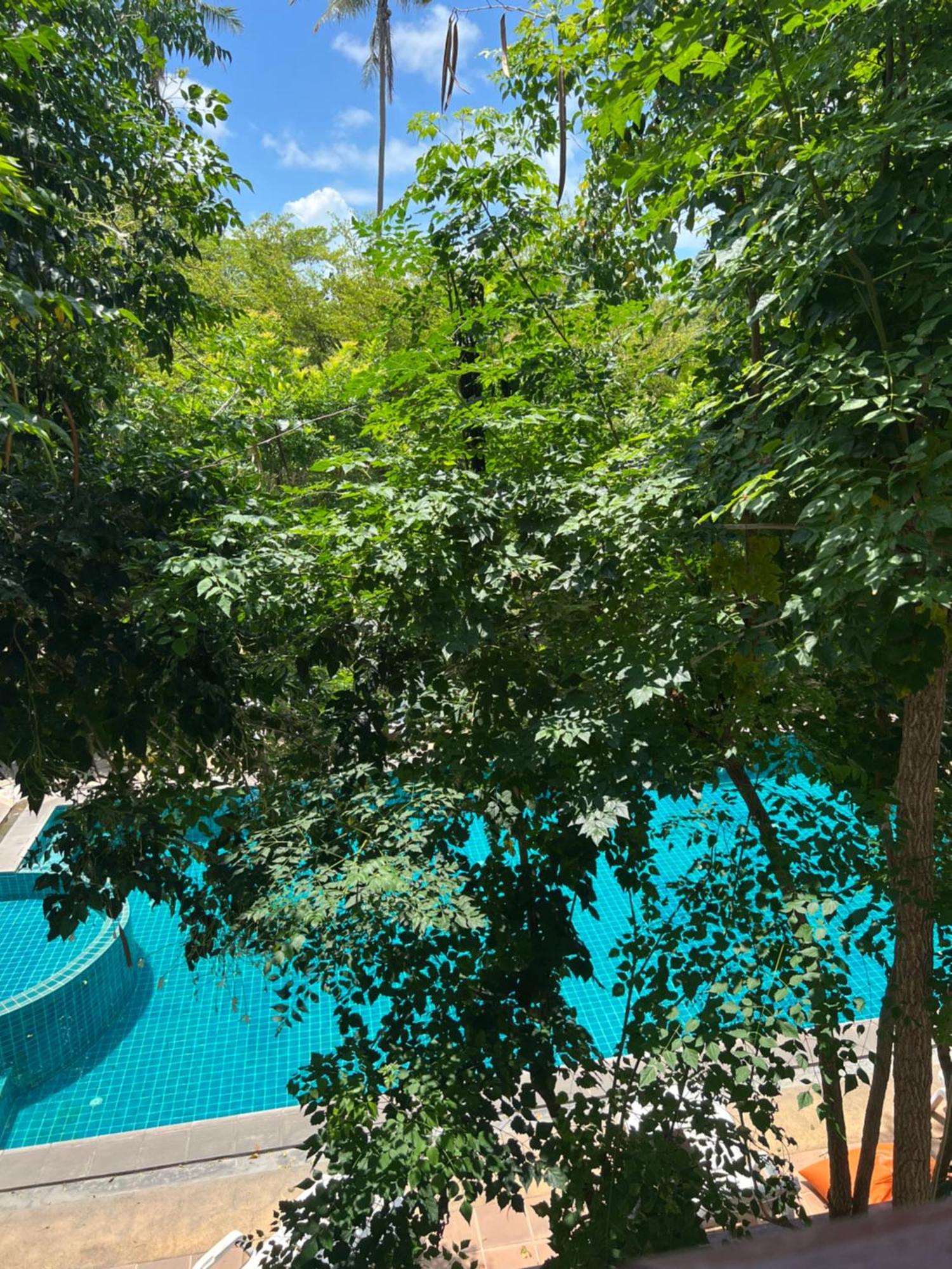 Samui Seabreeze Place Ko Samui Eksteriør bilde
